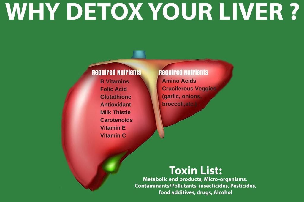 why-detox-your-liver-shathayu-ayurveda