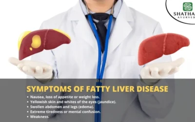 How to Reverse Fatty Liver