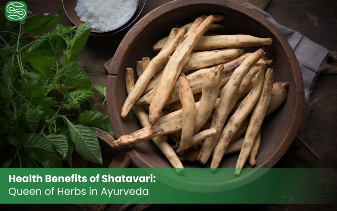 Health Benefits of Shatavari: Queen of Herbs in Ayurveda