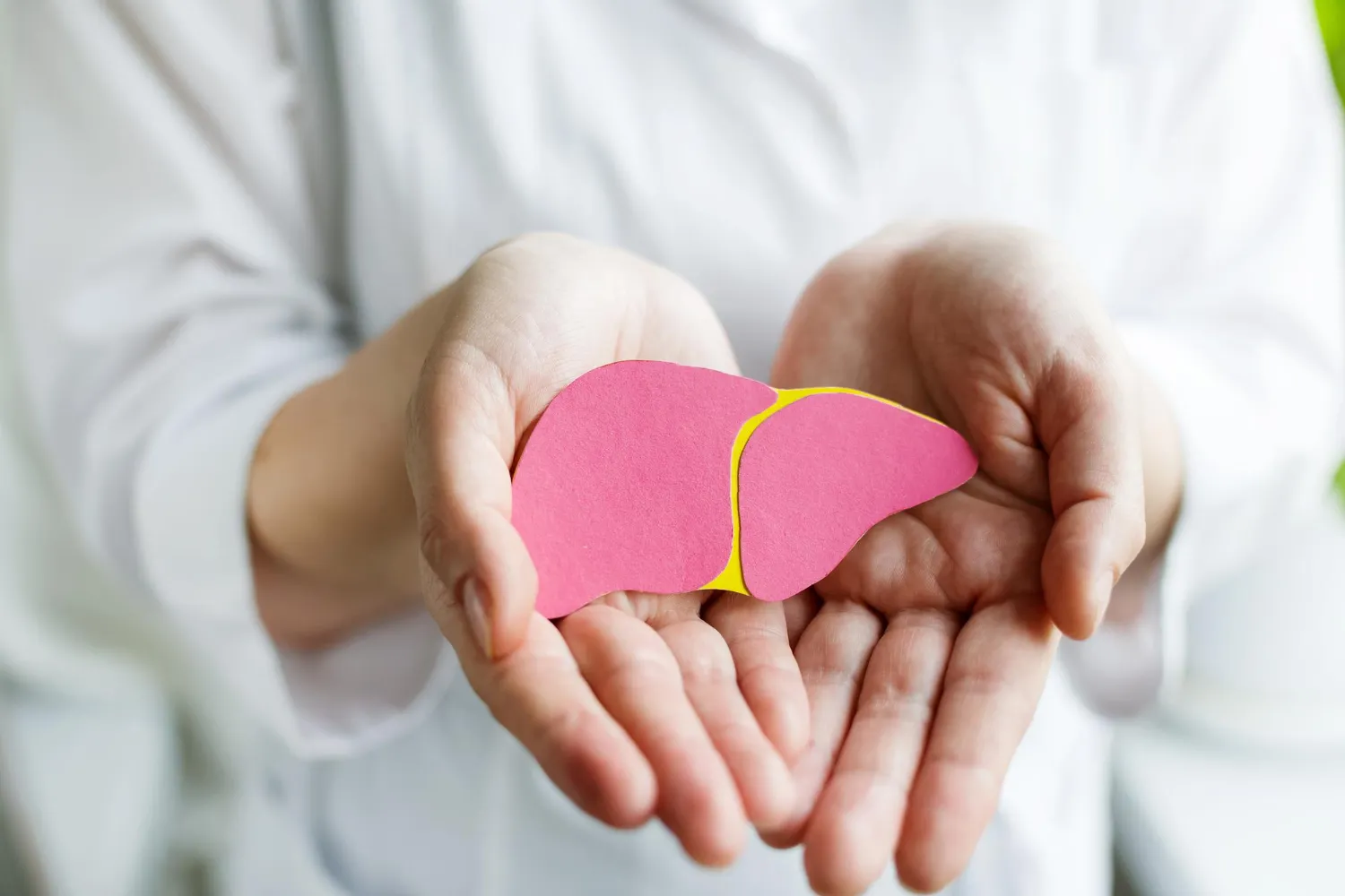 fatty liver inner image fatty liver inner image