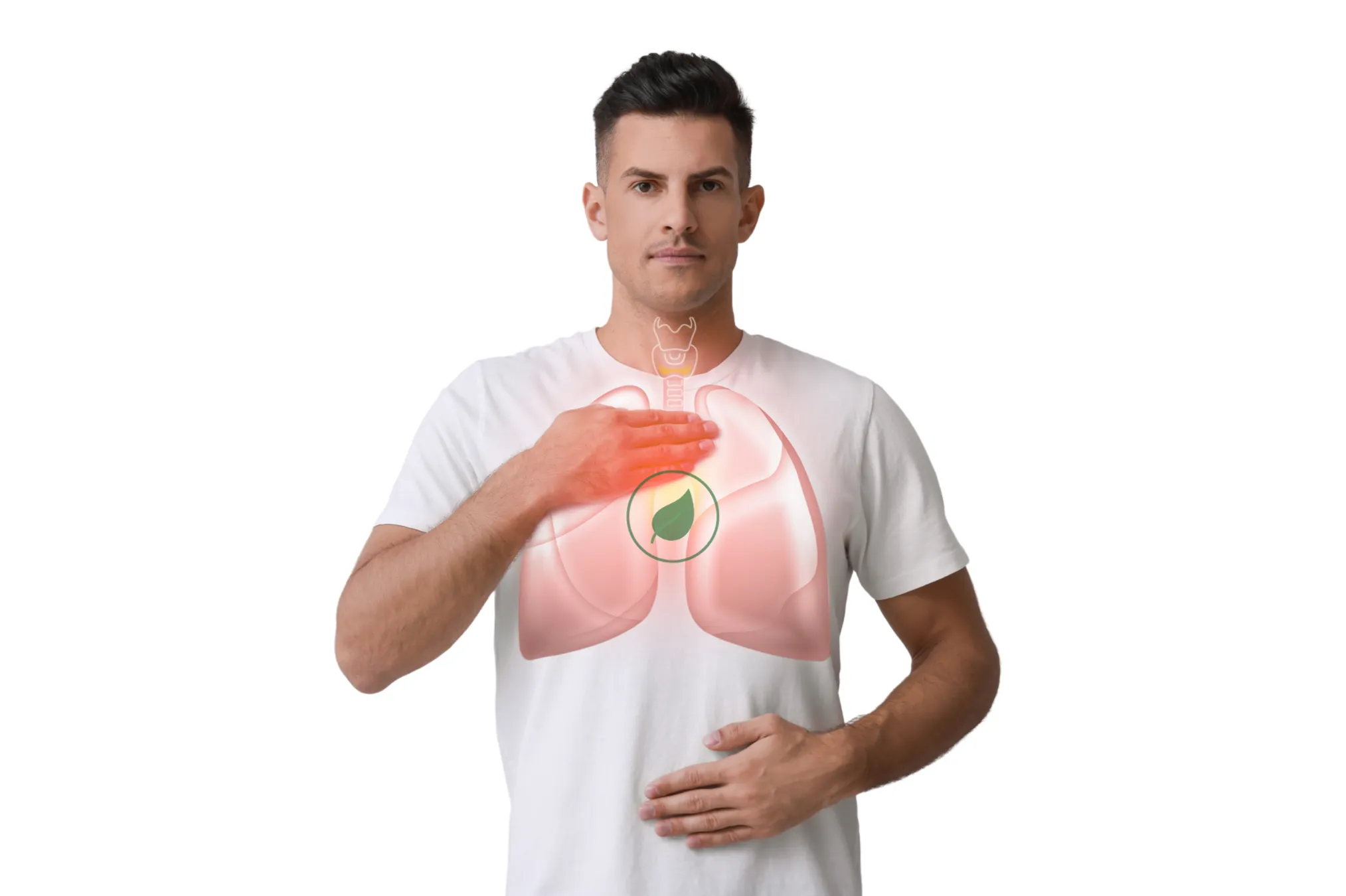 Panchakarma 1 Ayurvedic detox concept showing internal healing and herbal support for respiratory and digestive balance