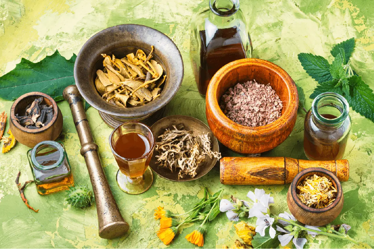 Traditional Ayurvedic herbs and formulations used in Panchakarma treatment for detox and rejuvenation