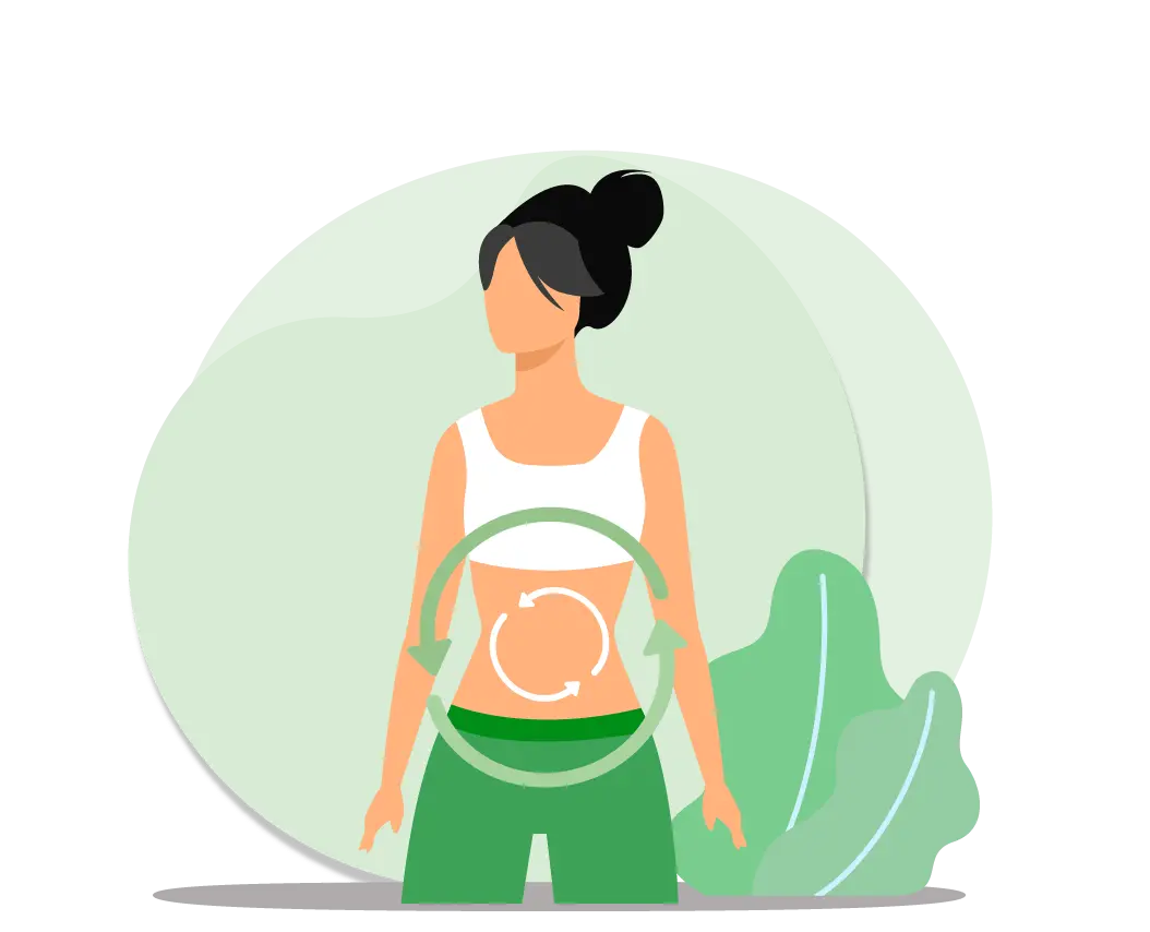 Illustration representing Ayurvedic detox and digestive metabolism balance in the abdominal region