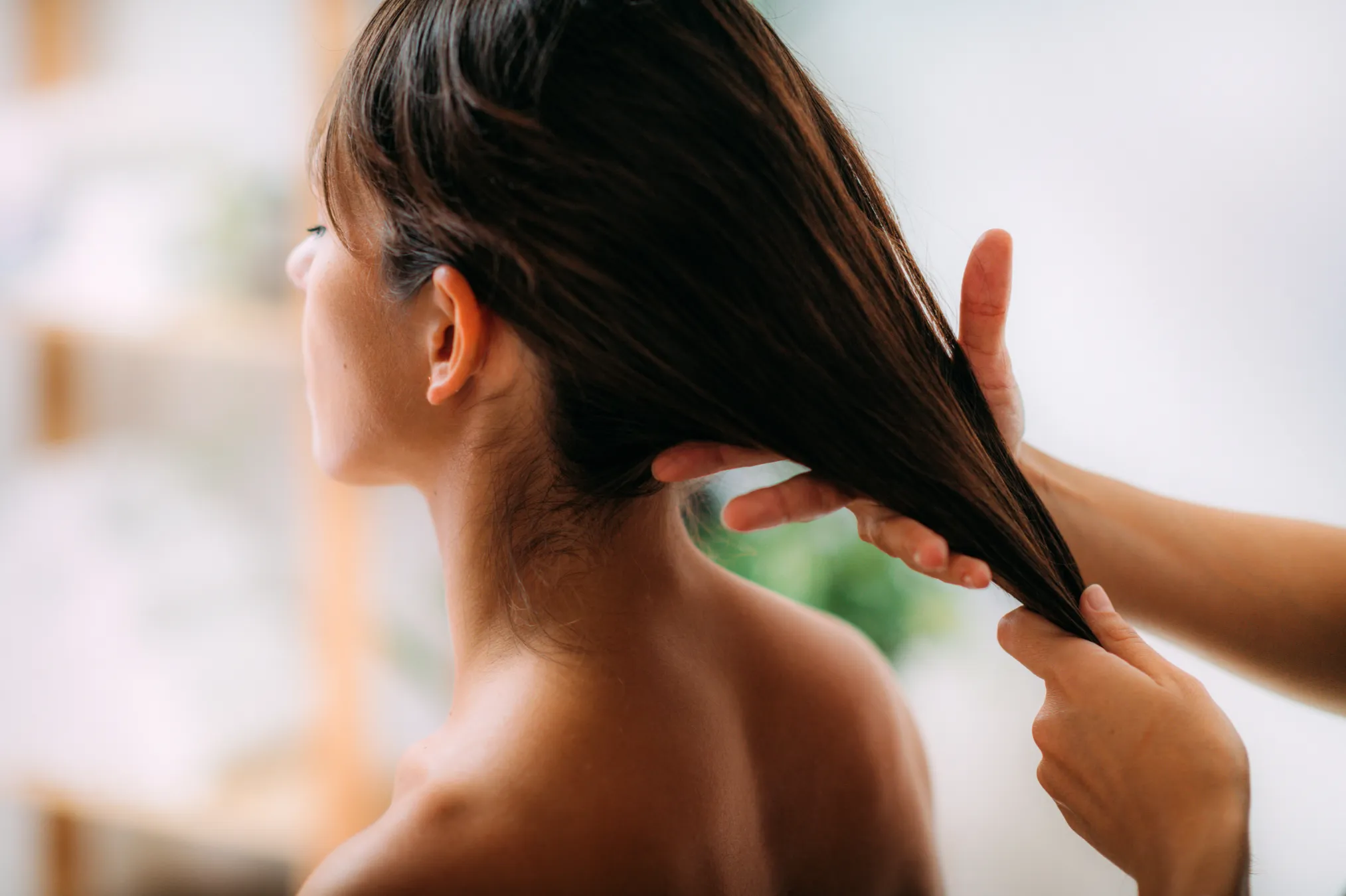 Natural herbal hair care treatment improving hair strength, texture, and scalp health