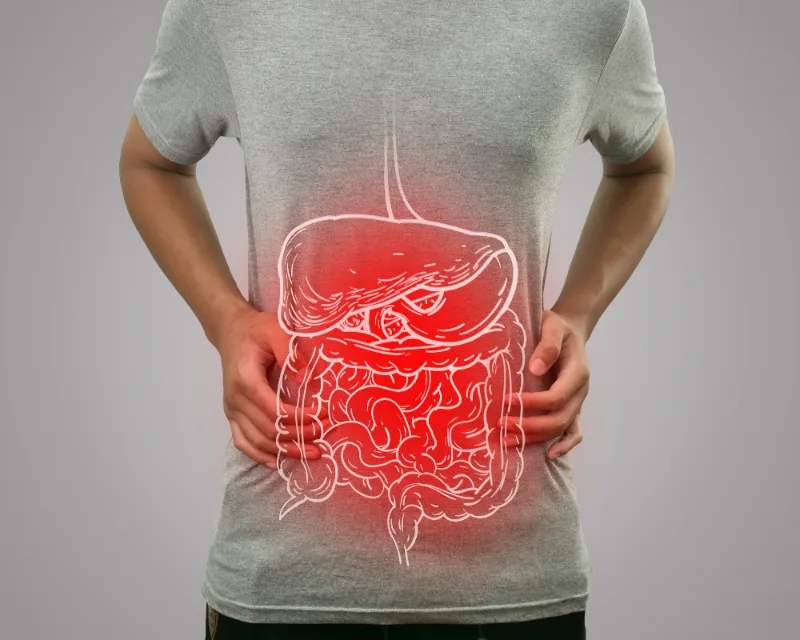 Digestive Metabolic Health